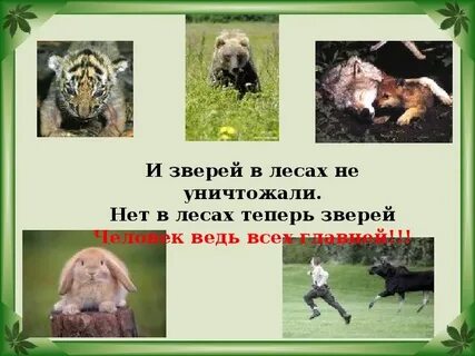 Животные опасные для человека окружающий мир 3