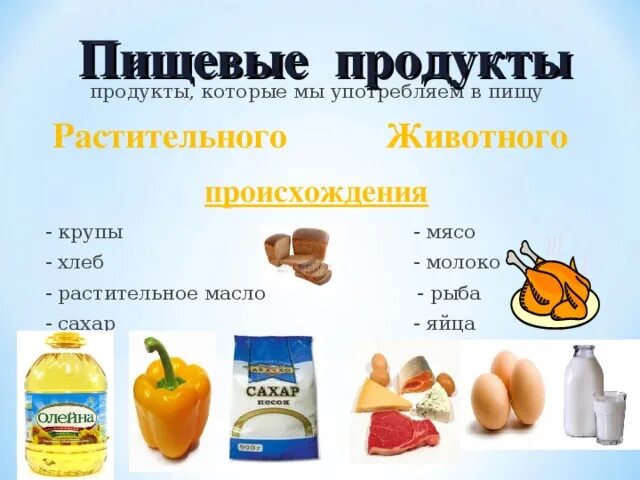 Продукция растительного происхождения. Продукты растительного происхождения и животного происхождения. Сахар продукт растительного происхождения. Еда животного происхождения список. Сахар в продуктах животного происхождения.