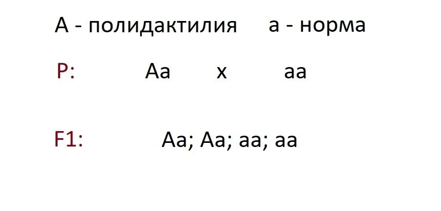 У человека ген полидактилии. У человека ген полидактилии доминирует над нормальным строением. У человека полидактилия доминирует над нормальной шестипалой рукой.