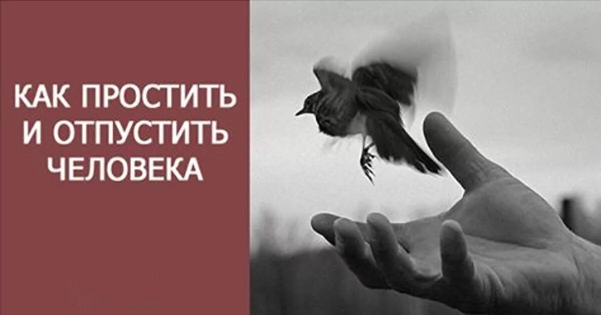 Ты его не простила он тебя отпустил. Простить и отпустить. Отпустить человека. Прости и отпусти. Простить и отпустить любимого человека.