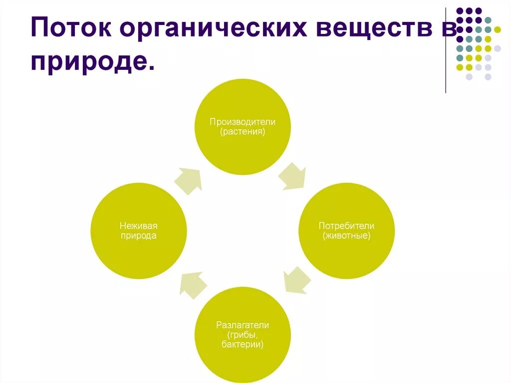 Поток органических веществ в природе. Поток органических веществ в природе схема. Поток органических веществ в природе биология. Органические соединения в природе.