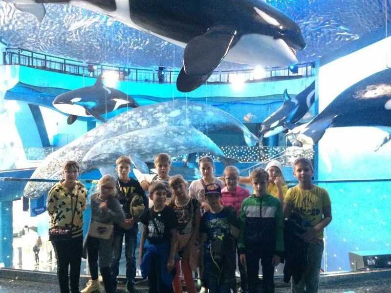 Экскурсии во владивостоке