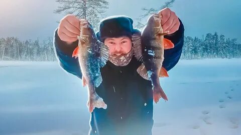 Мы удили на озере окуней