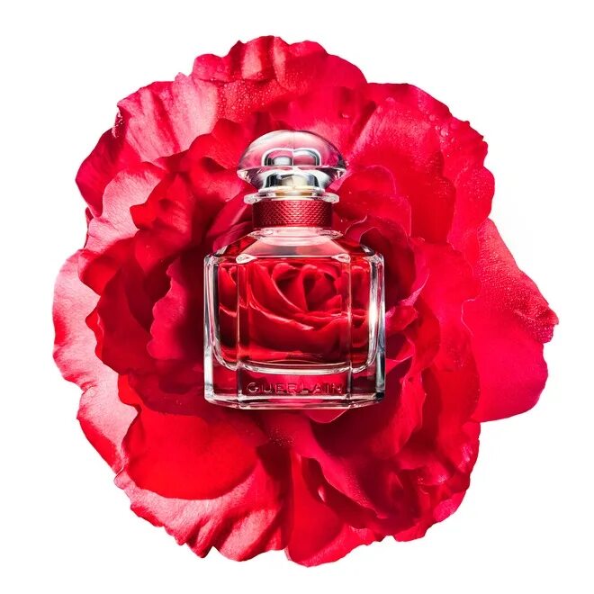 Mon Guerlain Bloom of Rose парфюмерная вода. Духи герлен Bloom of Rose. Guerlain mon Guerlain Bloom of Rose Eau de Parfum. Герлен Роуз Парфюм. Духи розочка