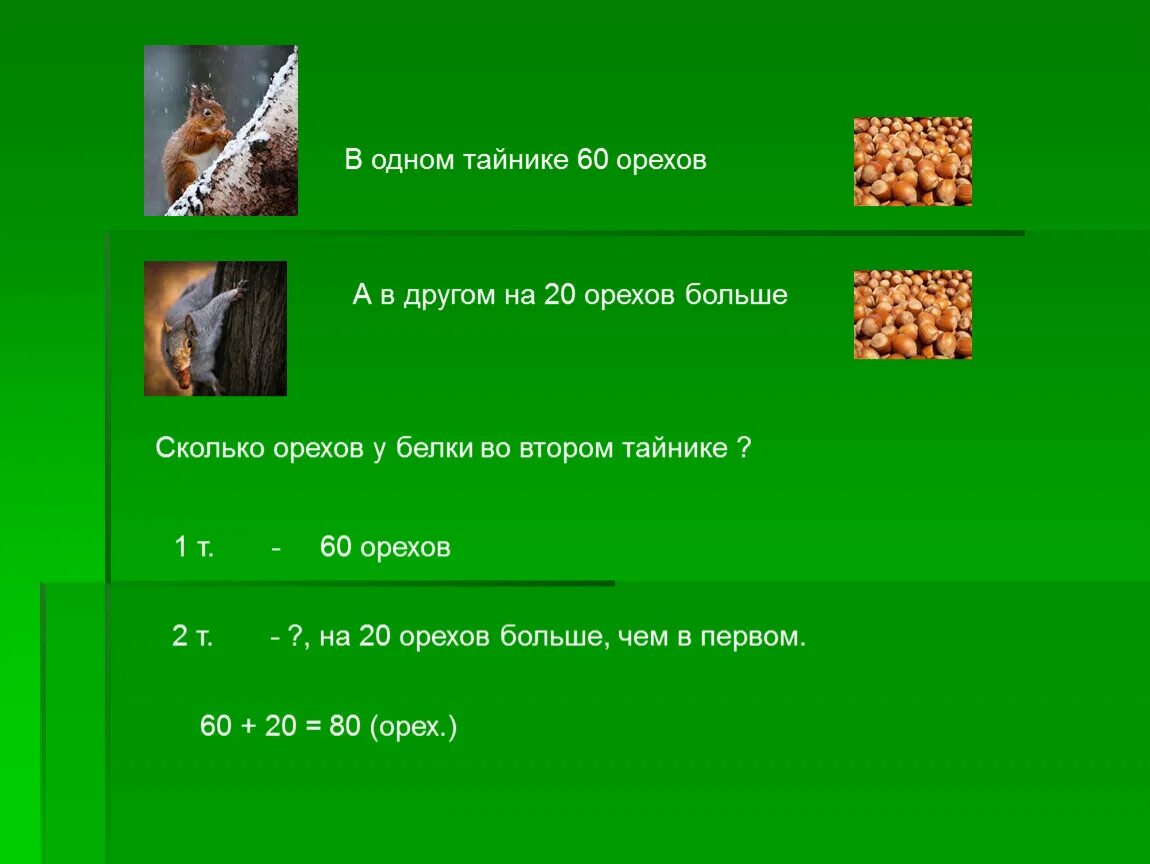 Также их размера этот. Также их размера этот