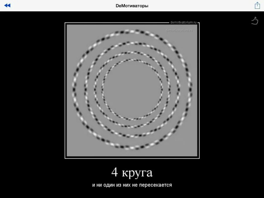 Узкий круг общения. Шутки про круг. Математические шутки. Окружность шутка. Окружность прикол.