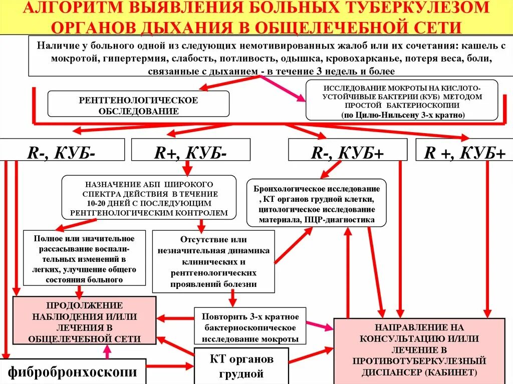 Как сделать туберкулез. Диагностический алгоритм обследования больного туберкулезом. Методы диагностики туберкулеза схема. Алгоритм выявления больных туберкулезом. Алгоритм диагностики туберкулеза органов дыхания.