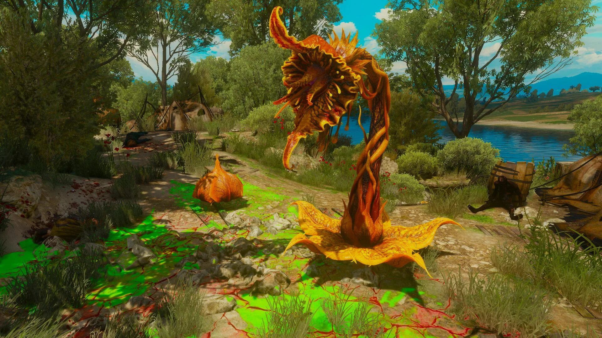 Эхинопс ведьмак. Археспора ведьмак 1. Ведьмак 1 эхинопсы. Эхинопс ведьмак. Эхинопс ведьмак.