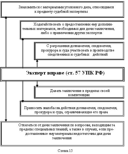 Назначение судебной экспертизы в уголовном процессе. Назначение экспертизы в уголовном процессе. Назначение и проведение судебных экспертиз в уголовном процессе. Схема назначения судебной экспертизы. Производство экспертизы по уголовному делу