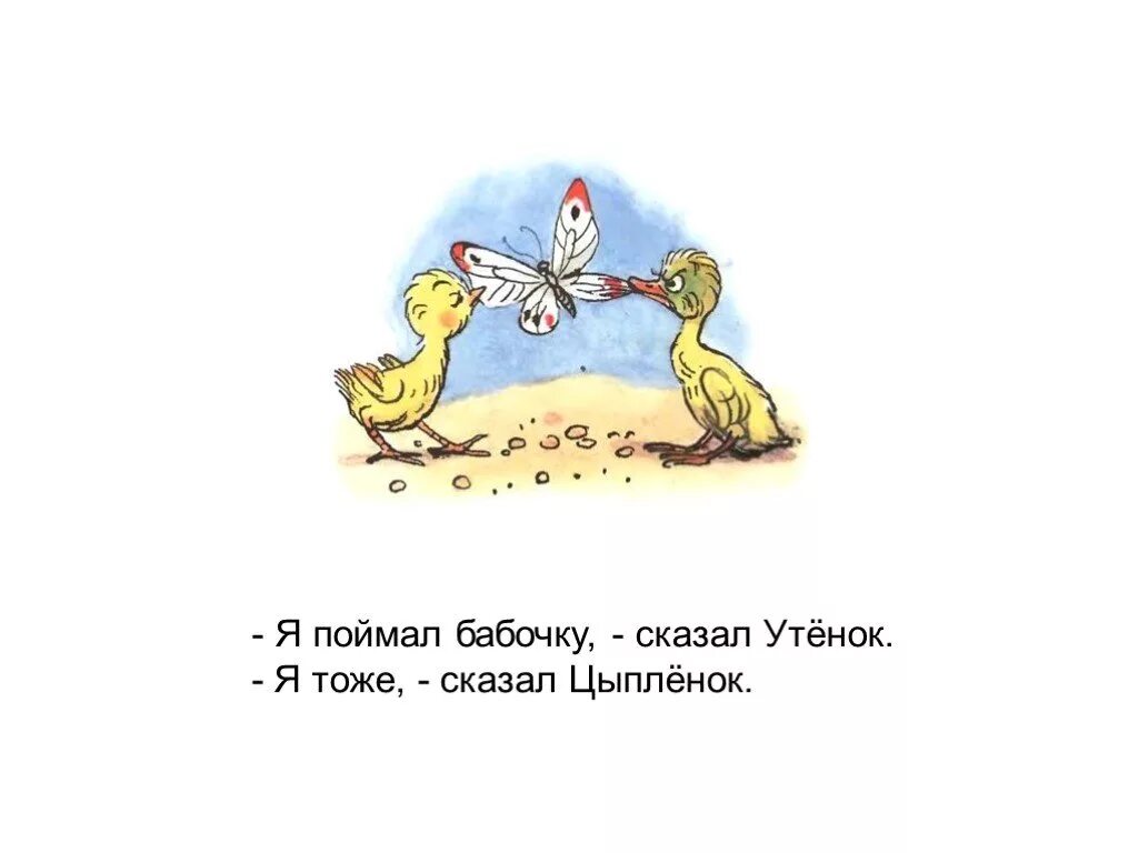 Скажи утку. Сутеев в. "цыпленок и утенок". Цыпленок и утенок Сутеев бабочку. Я тоже сказал цыпленок. И Я сказал утенок.