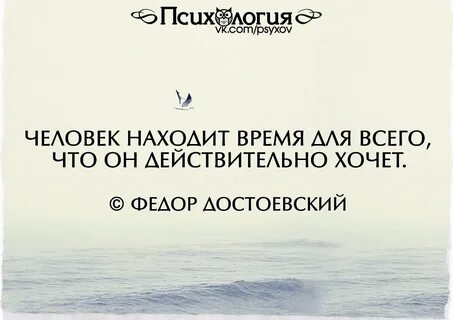 Ищет место в жизни