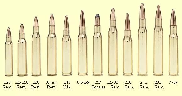 250 22 5. Калибр 22-250 Rem. Калибр 308 win и 223 Rem. Калибр 22-250 Rem и 243. 308 Win Калибр в мм.