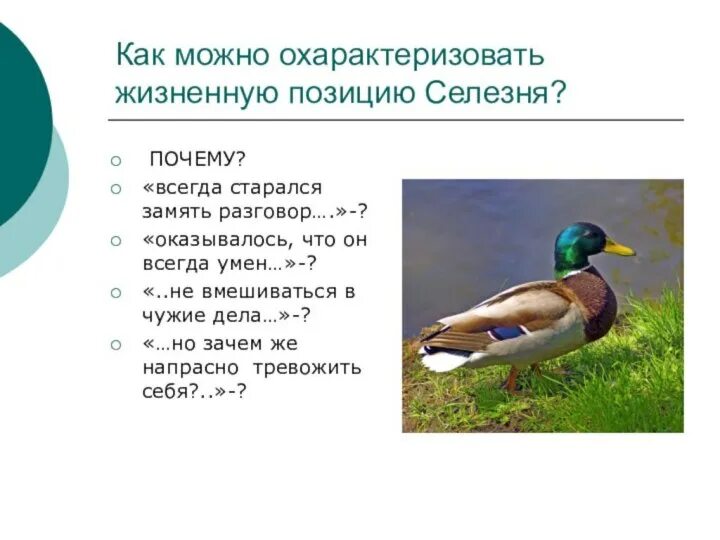 Которую можно охарактеризовать как. Которую можно охарактеризовать как