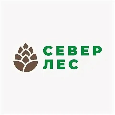 Я люблю северный лес