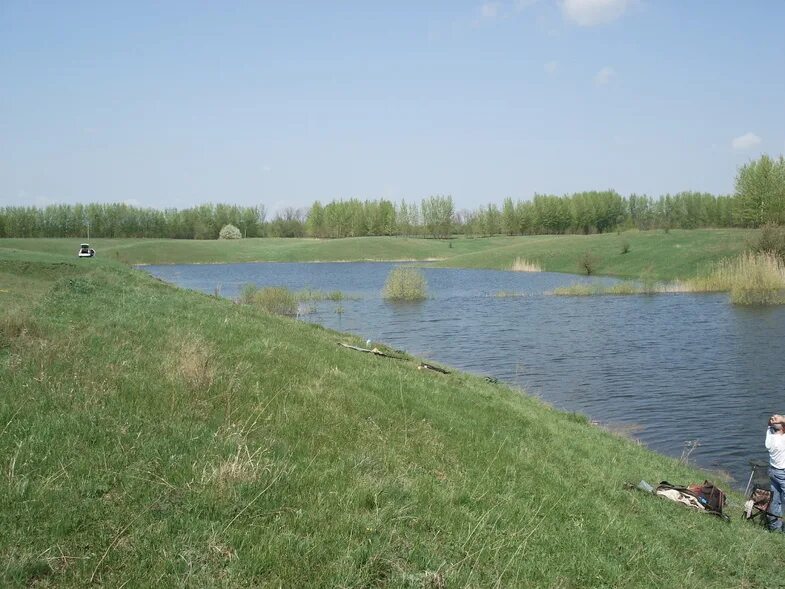Пруд южный воронеж. Пензятский пруд мордовия. Пруд крутой лог. Где находиться пруд перлёвка. Перлевка воронежская область.