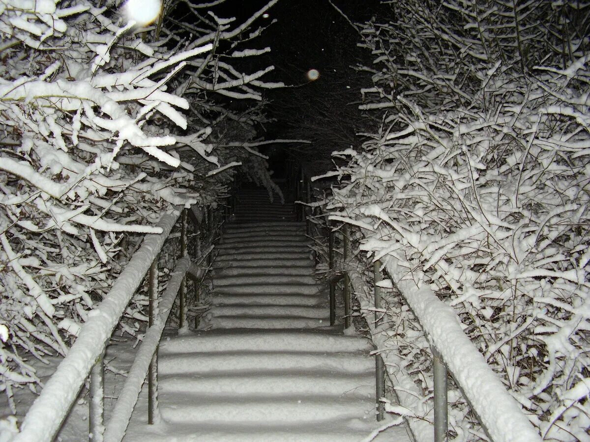 Зимние ступени. Лестница в снегу. Старая лестница в снегу. Заснеженная лестница. Снегопад лестница.