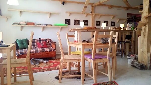 Mehovoe cafe, anticafe, Russia, Kaluga, Akademika Korolyova Street, 27 - Yandex 
