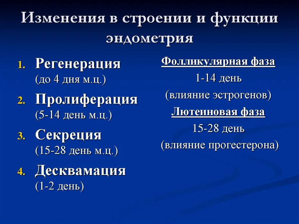 Эндометрий десквамация. Фазы изменения эндометрия матки. Циклические изменения в эндометрии. Стадии (фазы) циклических изменений в эндометрии. Изменение эндометрия в течение цикла.