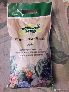 Грунт для монстеры