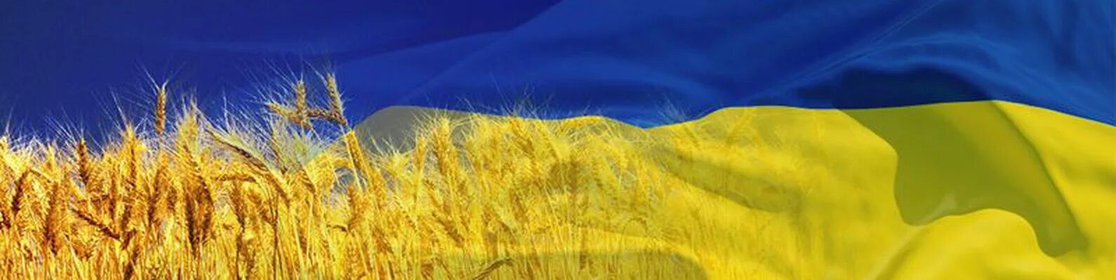 Я люблю Украину памятник. Картинки Україна це я. Україна картинки для презентации. Картинка Україна йде у Європу.