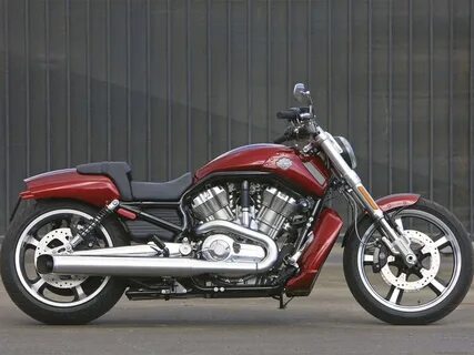 Harley davidson v