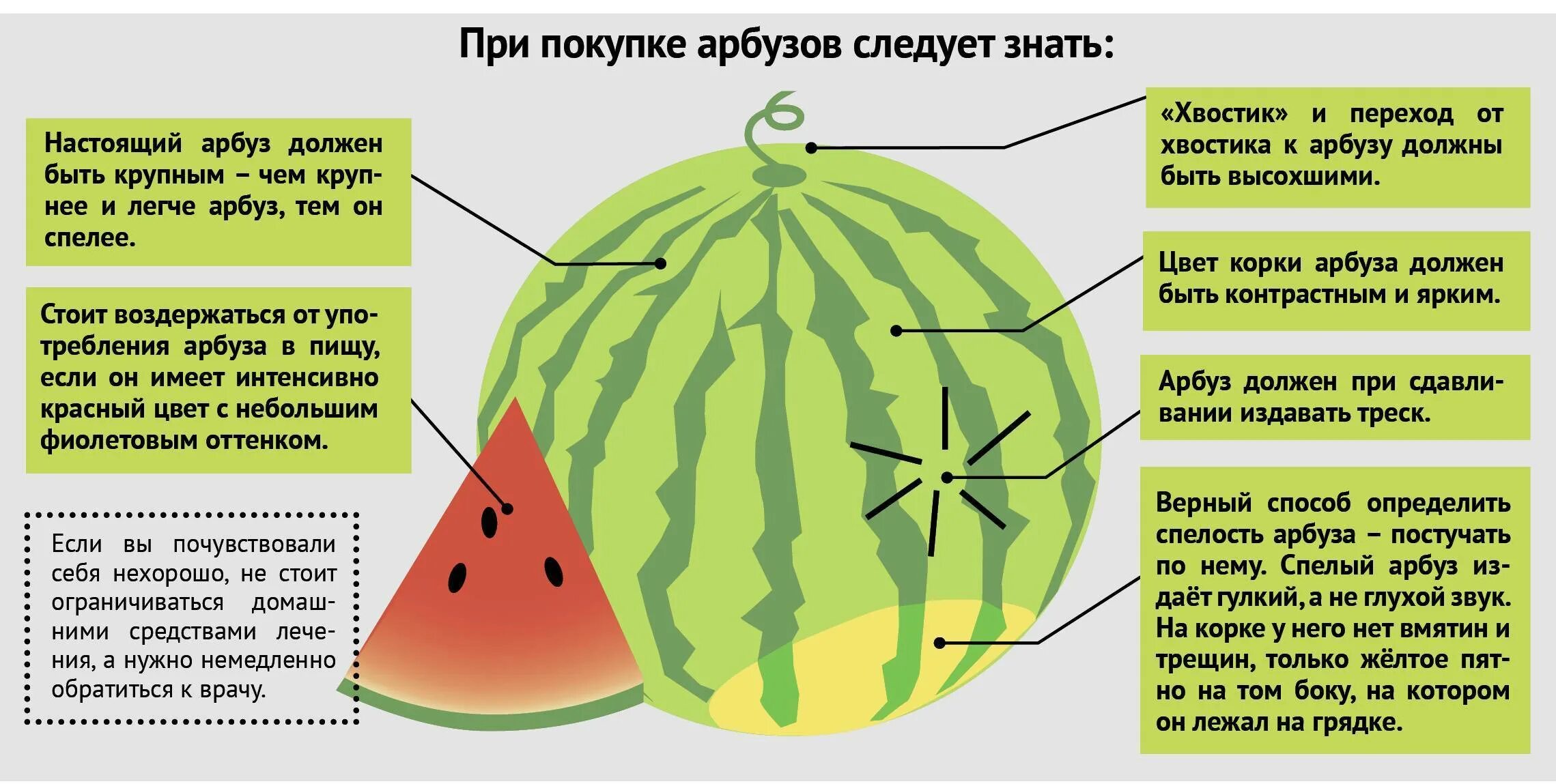 Спелый арбуз должен быть звонким или глухим. Кпк определиьь спелость арбузьа. как определить спелость арбуза. как выбрать спелый арбуз. арбуз спелый и сладкий.