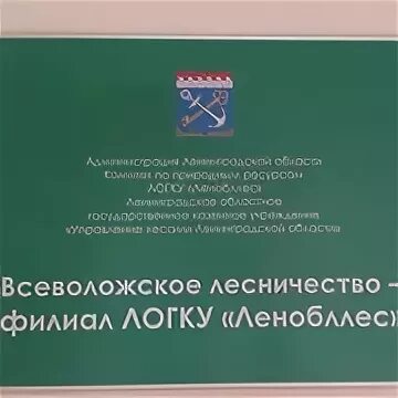 Ленинградское областное государственное казенное учреждение. ЛОГКУ Ленобллес. Всеволожский филиал Ленобллес. Всеволожское лесничество. ЛОГКУ Ленобллес Шпалерная.