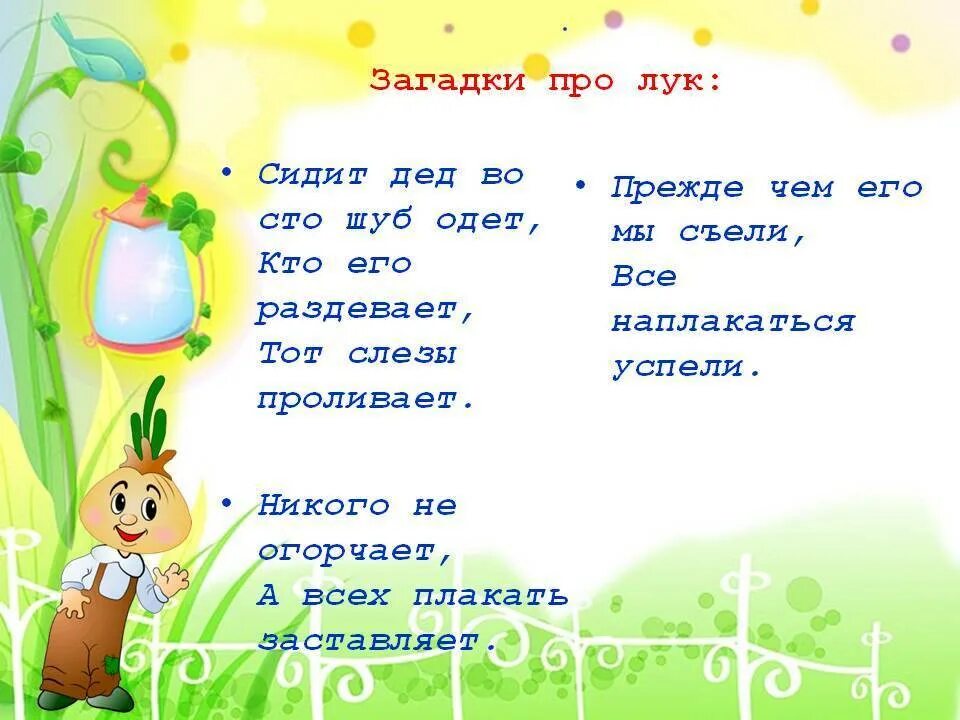 Загадка с ответом здоровье. Загадка про лук. Загадки о луке. Детские загадки про лук. Загадка про лук для детей.