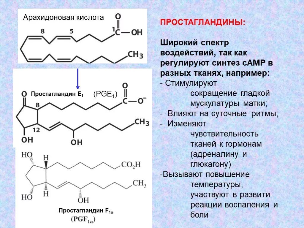 Арахидоновая кислота структурная формула. Арахидоновая кислота строение. Арахидоновая кислота химическое строение. Арахидоновая кислота структура. Формула арахидоновой кислоты