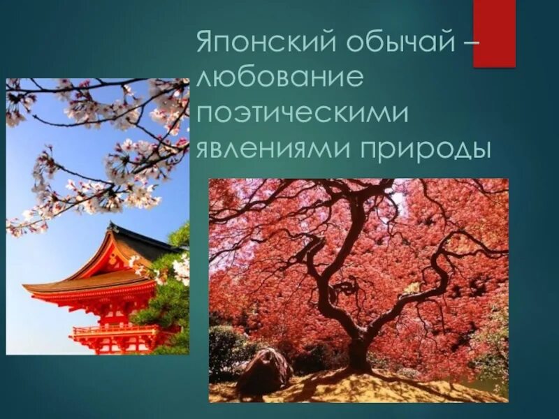 япония детские рисунки. изо страна восходящего солнца. страна восходящего солнца изображаем японский сад 4. японский пейзаж изо. пейзаж японии рисунки для детей.