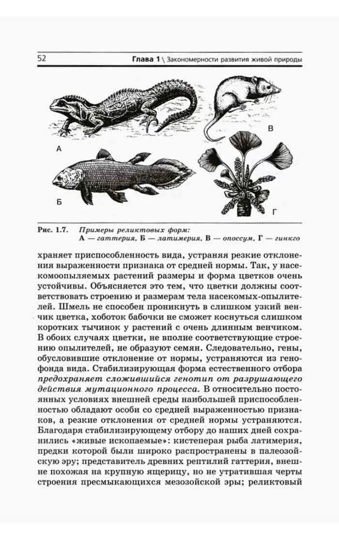 Биология 11 класс мамонтов. Биология 11 класс Захаров Мамонтов Сонин. Биология. 11 Класс. Учебник - Захаров, Мамонтов, Сонин, Захарова. Биология 11 класс Захаров читать. Учебник биологии 11 класс Захаров Мамонтов Сонин Захарова читать.