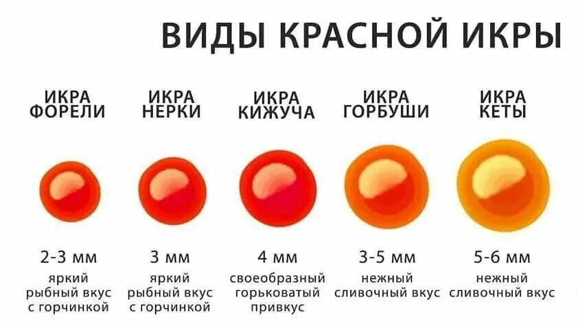 Икра рыбы какая бывает. Икра кеты и горбуши. Икра кеты и горбуши сравнение. Икра кеты и горбуши разница. Икра кеты и горбуши отличия.