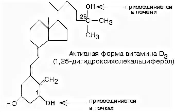 Активная форма в 5. Формулу активной формы витамина д3 -1,25-диоксихолекальциферол. Формула активной формы витамина д3. Активная форма витамина д формула. Активная форма витамина д3 1.25 диоксихолекальциферол.