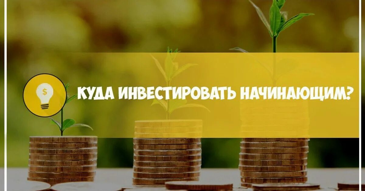 Куда инвестировать начинающему. Куда лучше инвестировать деньги начинающему инвестору. С чего начать инвестировать. Вложенные деньги. Что лучше инвестировать в сентябре.