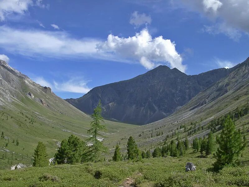 Тункинские саяны. Тункинские гольцы с трассы. Великолепие тункинских гольцов егэ. Изумрудные озера шумак. Перевалы тункинских гольцов.