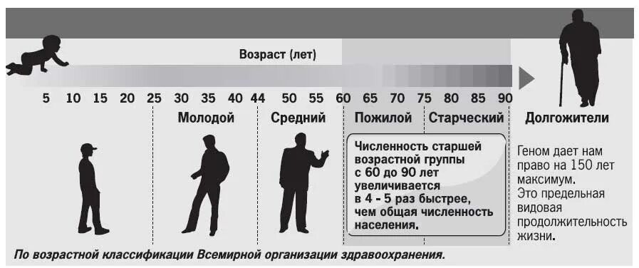 Старший возраст это сколько. Классификация возрастов. Классификация возраста человека. Средний Возраст человека. Возрастные группы людей.