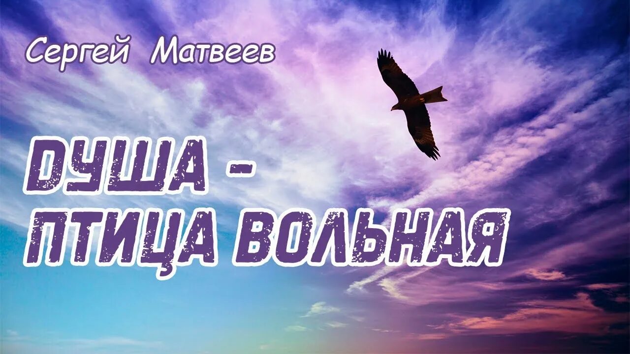 Душа вольная песня текст. Вольная птица. Птица души. Я птица Вольная.