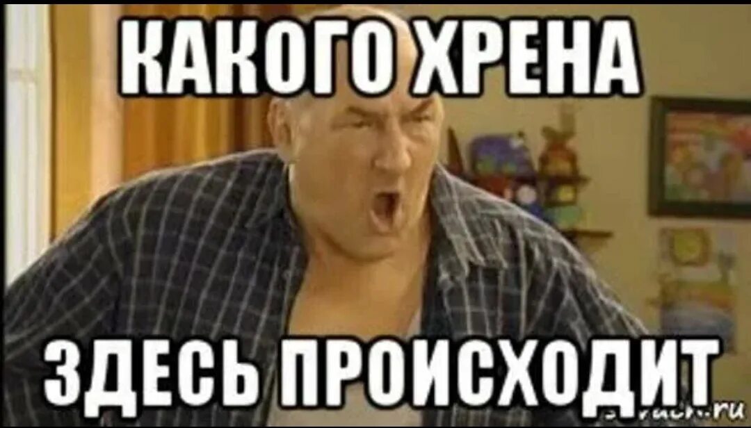 Что у вас здесь происходит. Какого хрена здесь происходит. Да что здесь происходит. Что здесь происходит Мем. А какого хрена.