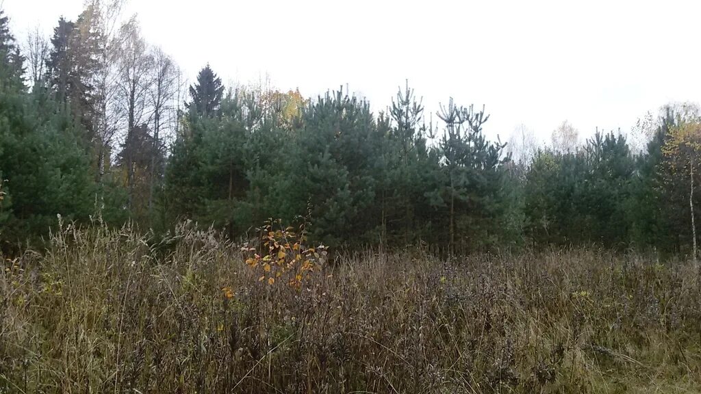 15 гектаров земли. 15 га в км. 15 га в км. Участок 20 гектар. 15 гектаров земли.