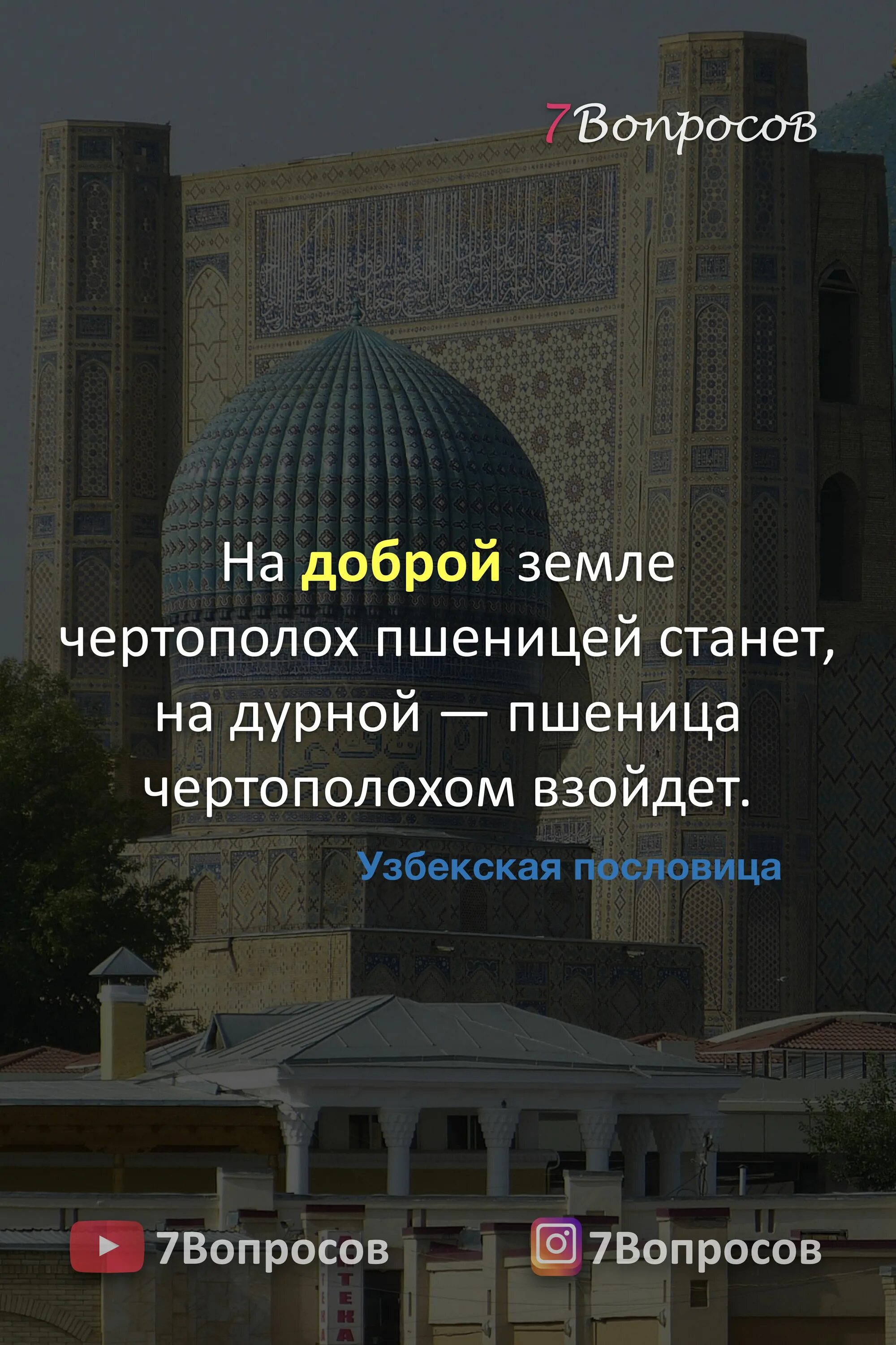 Узбекские пословицы. Мудрийе пасловитси узбекский. 5 Пословиц на узбекском.