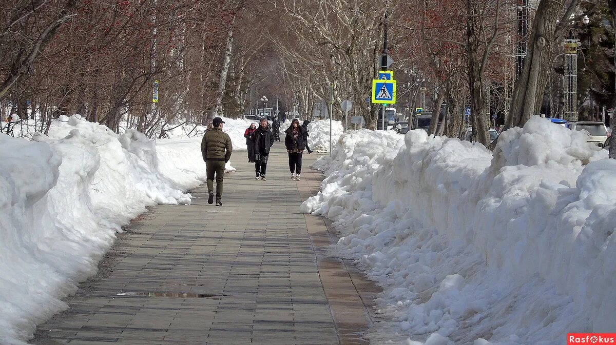 южно сахалинск в марте. южно сахалинск море. сильная метель. южно сахалинск в марте. южно сахалинск в марте.
