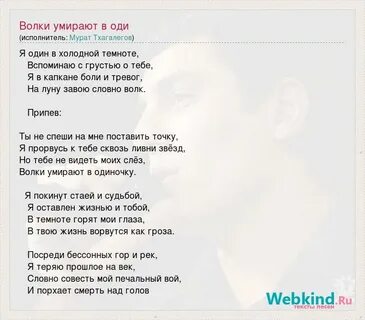 Поставь спеши