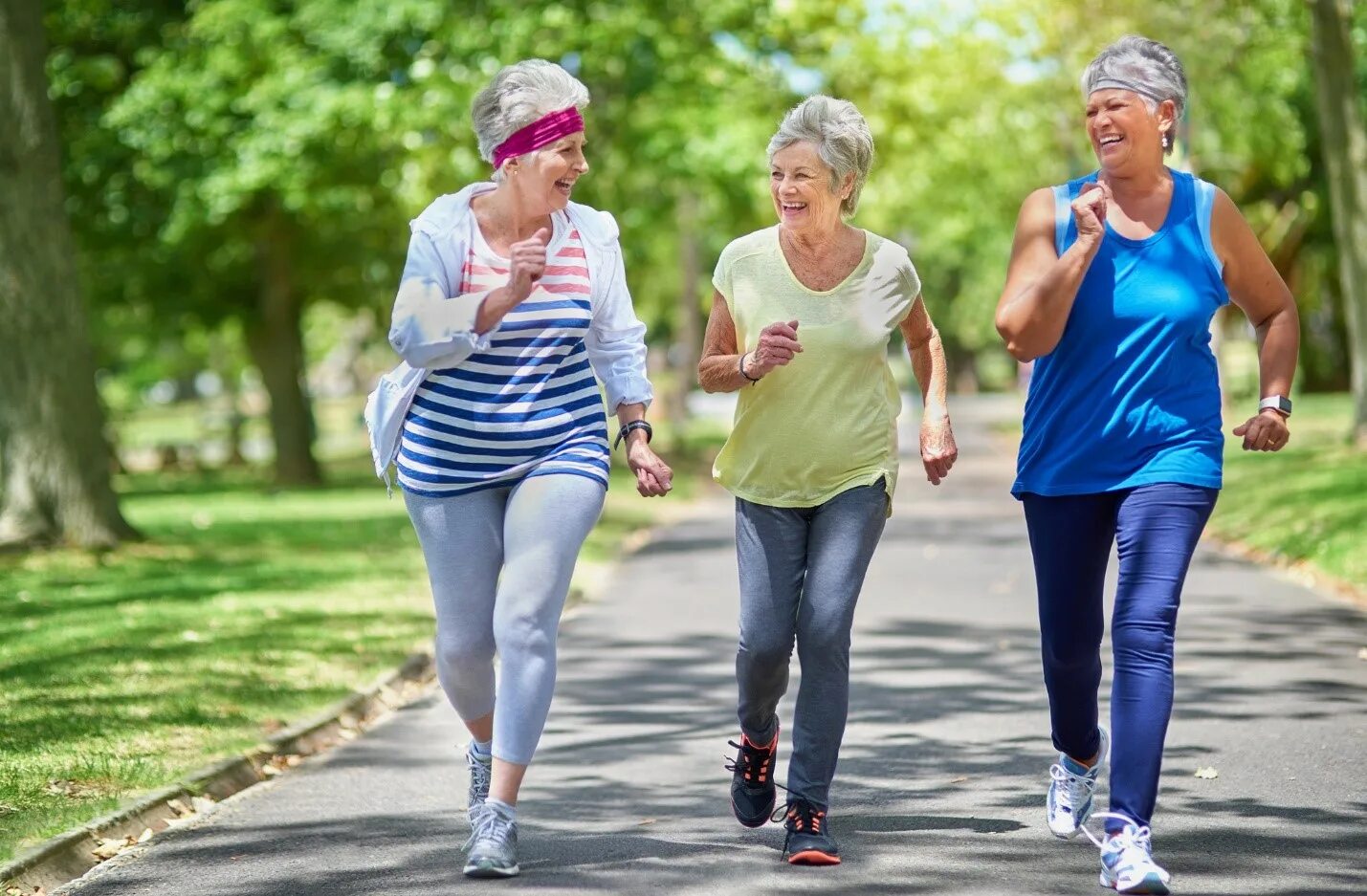 Активный образ жизни. Здоровый образ жизни для пожилых людей. Пенсионеры активный образ жизни. Пожилые люди спорт.
