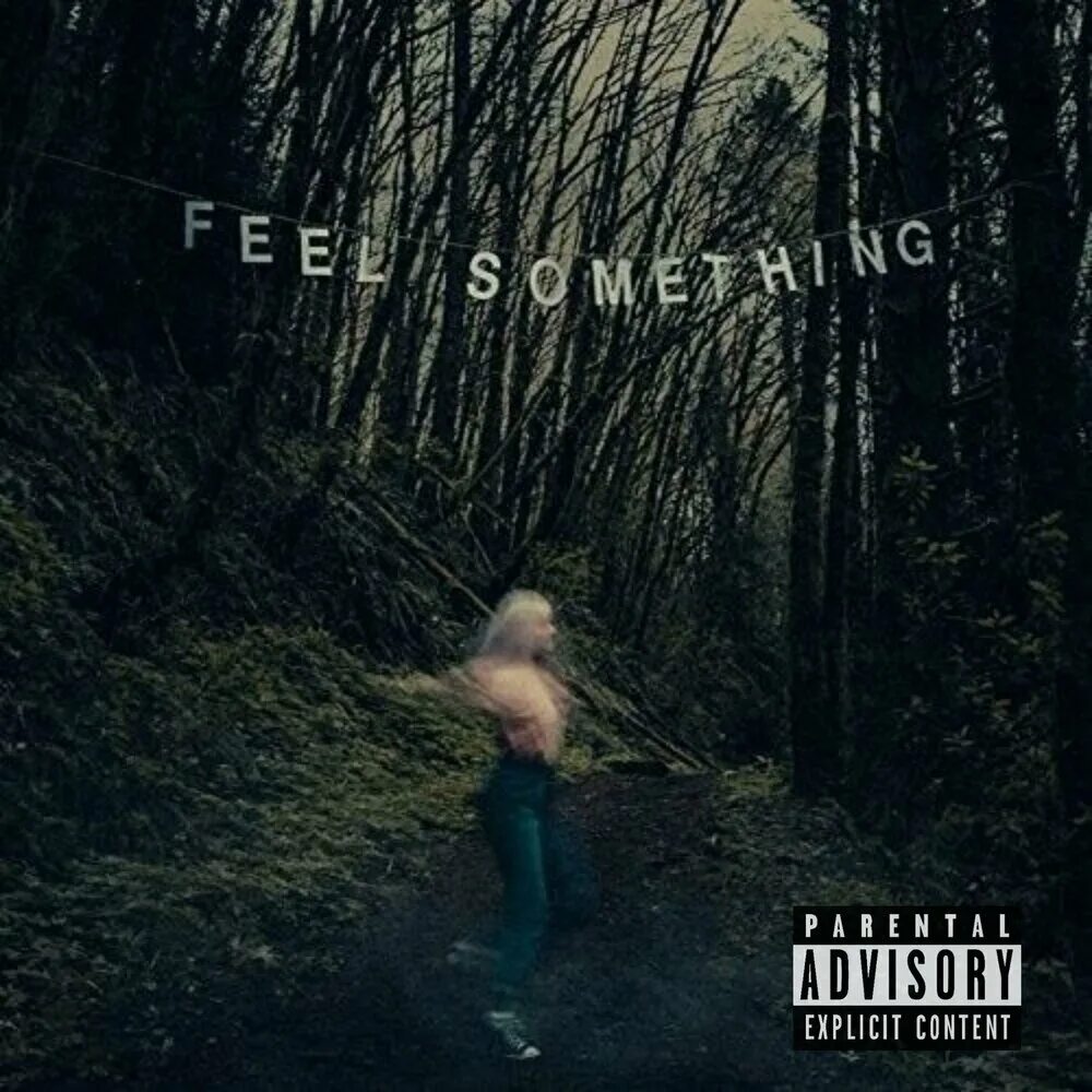 Make me feel something something. Movements feel something. movements обложки альбомов. feel something обложка. лес покой.