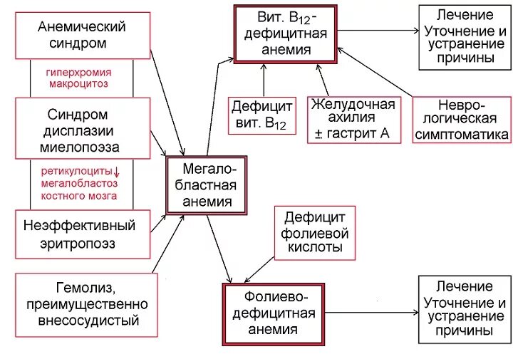 Лечение в 12 анемии. Б12 анемия классификация. Лечение в12 дефицитной анемии схема. В12 дефицитная анемия классификация. Причины в12 дефицитной анемии.