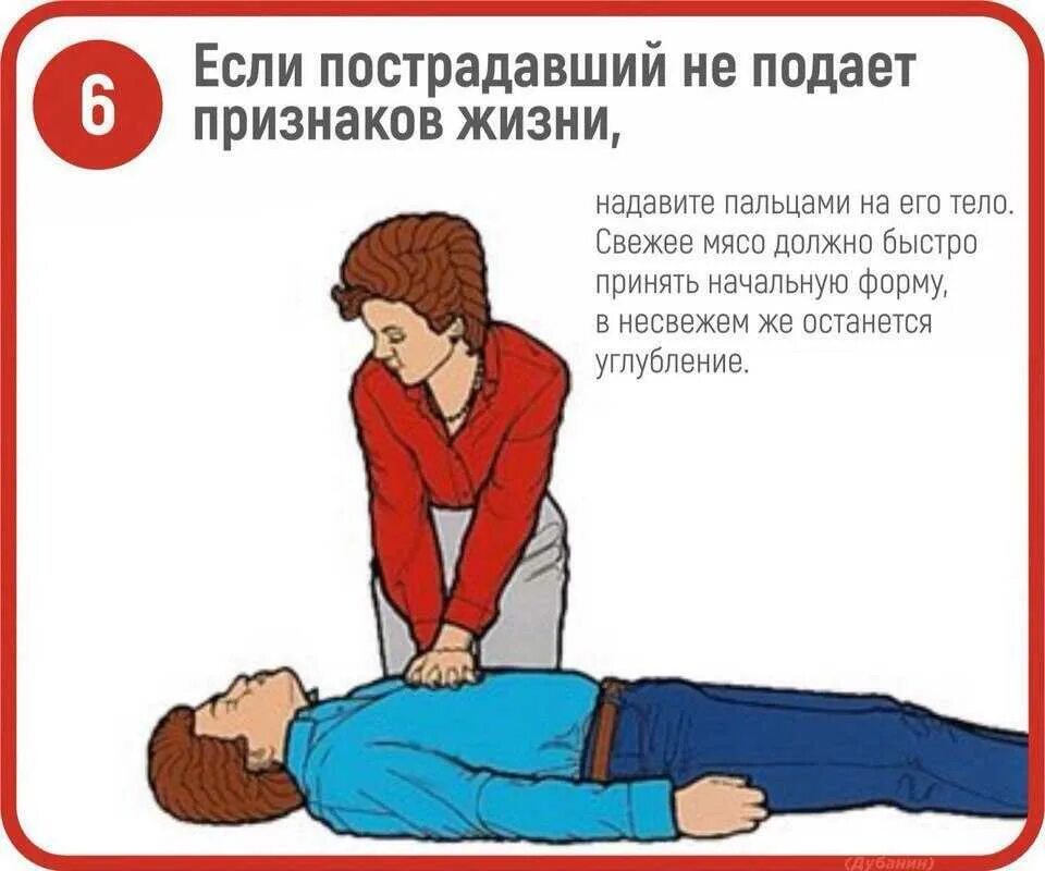 Основные признаки жизни у пострадавшего ответ. Признаки жизни у пострадавшего. не подают признаков жизни. подай признаки жизни. определение признаков жизни у пострадавшего.