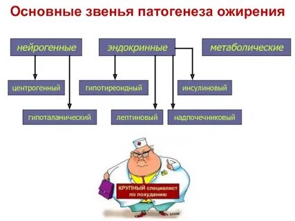 Генезы ожирения