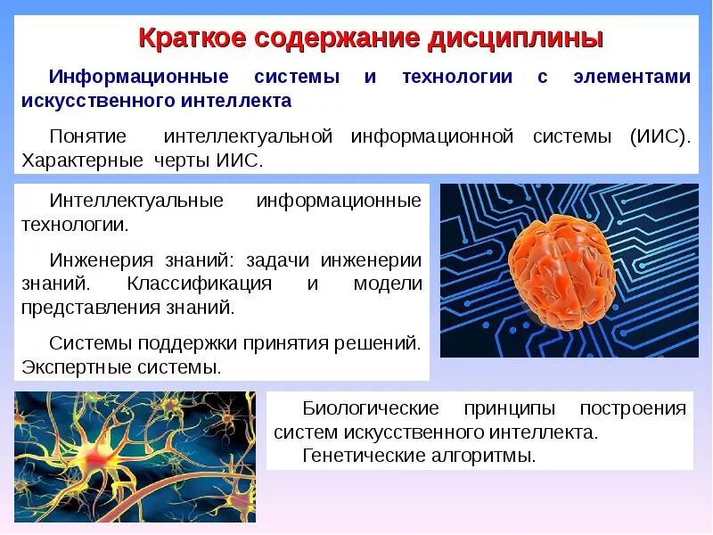 Определение информационной дисциплины. Определение информационной дисциплины