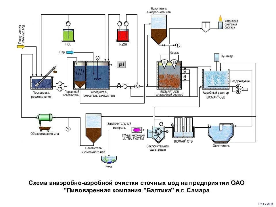 Анаэробная очистка воды. Биопруды для очистки сточных вод схема. Аэробная очистка сточных вод схема. Биологический этап очистки воды схема. Анаэробные процессы очистки сточных вод.