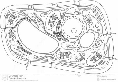 Раскраска Фотосинтез: солнце, облака, растение в горшке, вода, минералы, углекис